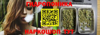 jwh Пенза